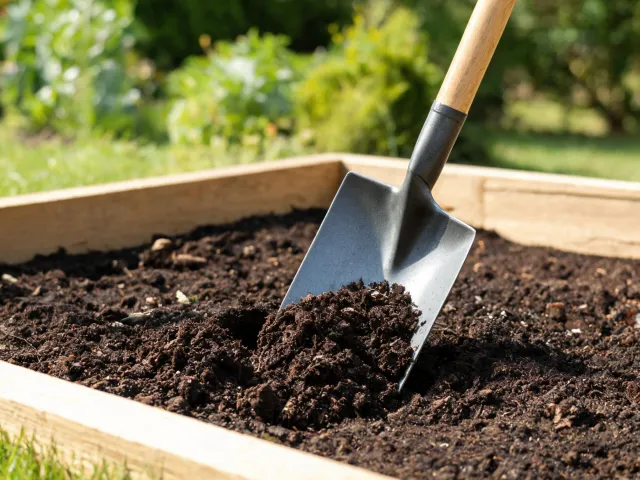 Garden spade preparing a planting bed
