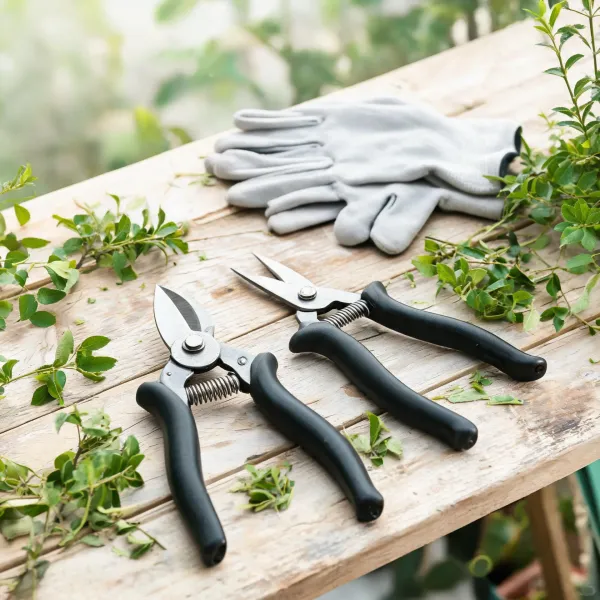 Fiskars pruning shears and snips