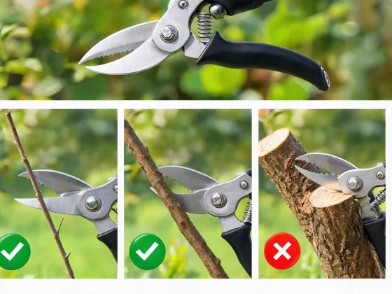 Pruning guide with shears